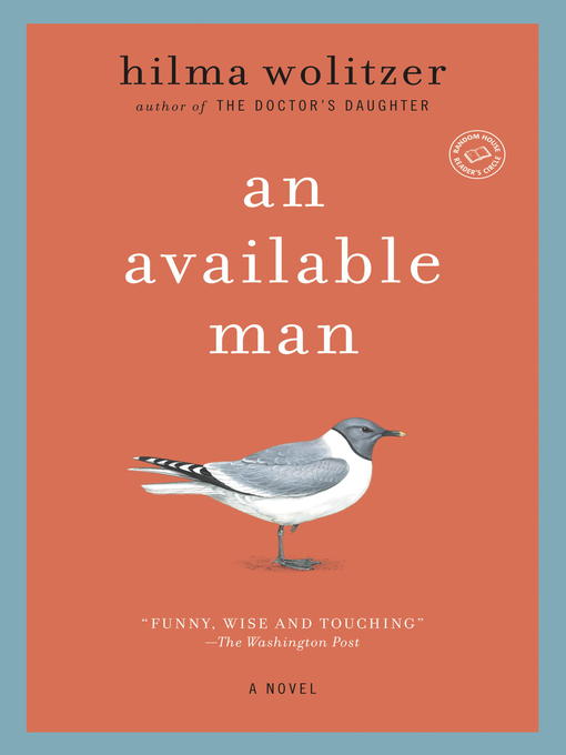 Title details for An Available Man by Hilma Wolitzer - Available